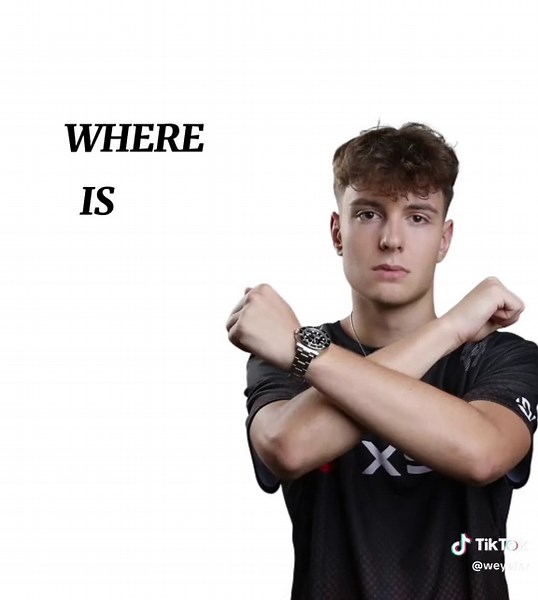 Where is My Edit? Exploring Peterbot's Features