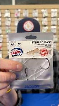 Matt shows you how to #setup the #stripedbass Hi-Lo #rig so you can spend more time #fishing