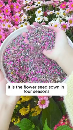 507 reactions · 16 shares | Limited space? No problem! ✨ Bring your...