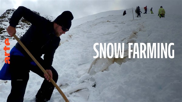 Re: Snow Farming in Switzerland - Watch the full documentary in English