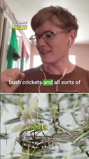 The HIDDEN magic of peat bogs!