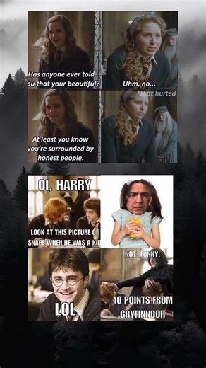 Highlights the dry humor often associated with Professor Snape meme #harrypotter #memes