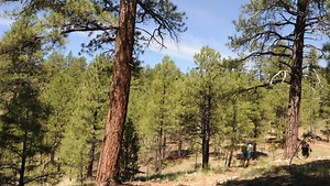 Flagstaff loop hike connects 2 popular trails