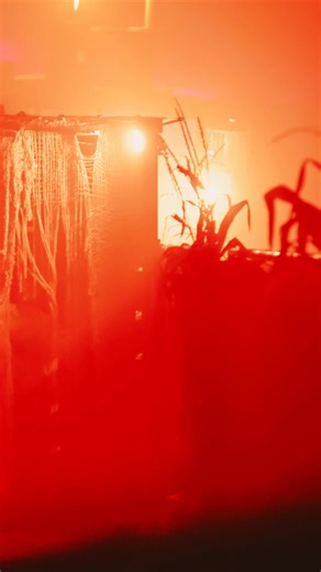 1.5K views | 13 Haunted Attractions. One Ticket. Endless Screams. From haunted ships to cursed swamps, twisted carnivals to graveyards, Lake Hickory Haunts surrounds you with nonstop terror.  Tickets are going fast—Buy yours Now! | Lake Hickory Haunts | Facebook