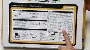 Watch remote control snake operation video on Amazon Live