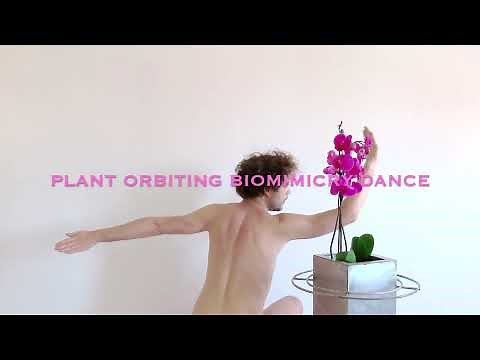 HONEVO 24 - PLANT ORBITING BIOMIMICRY DANCE