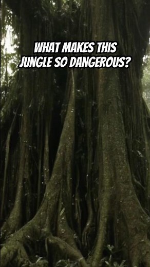 What Really Happens In The Darien Gap?