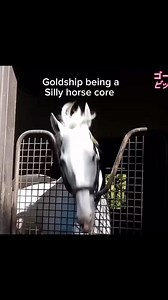 Just gold ship things | Elaina Ashen