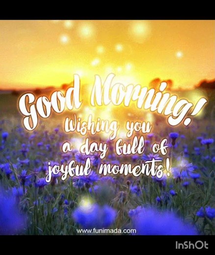 🌞 Good Morning GIF | Beautiful Morning Wishes | Positive Vibes 2025