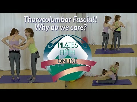 Understanding the Thoracolumbar Fascia