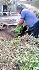 2.3M views · 279 reactions | Peanut threshing process using tires #shorts #viral #viralfb #asmrvideo #comedyclub #craftman #DIY #satisfying #OMG | DIY - Restoration Garage | Facebook
