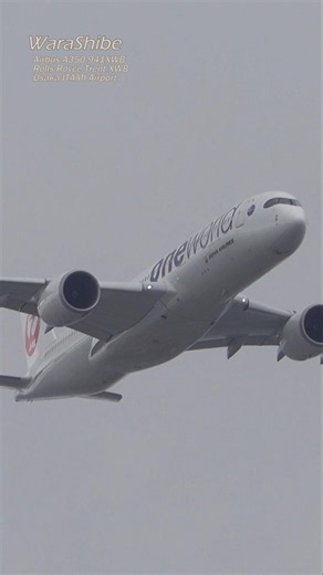 Strong Wind Reverse Runway! [A350] Gear-Up Ultra-Low 1200ft? Approach｜A350-941XWB | ITM/RJOO