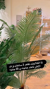 Light Store on Reels