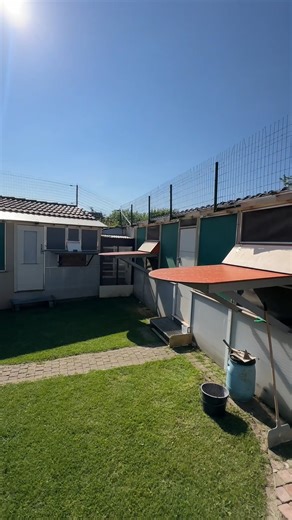 Wim & Steven De Troy had a super result on provincial race from Vierzon! VIERZON 2488 old birds: 1-10-19-24-36-56-65-68-73-78-83.... 28/32 - 'Cheesecake' (BE23-6015004) 1 Prov. Vierzon 🏆 VIERZON 2175 yearling birds: 4-7-8-19-32-36-40-69-... 21/30 Congratulations with this great result! Read more: https://www.pipa.be/en/articles/wim-steven-de-troy-berlaar-be-give-their-calling-card-vierzon-and-win-1st-prov-old-pigeons | PIPA