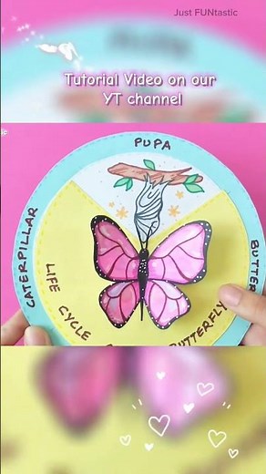 🐛➡🦋 Life cycle of a butterfly model 🌸 School science project /assignment/ craft ideas #schoolcrafts