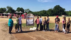 65K views · 56 reactions | The Dale Jr. Foundation on Reels | Facebook