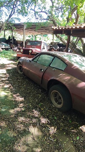 103K views · 2.8K reactions | FOMOS NO SITIO DO MAIOR COLECIONADOR DE CARROS ANTIGOS DO BRASIL | TV Pardau | Facebook