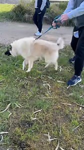 11K views · 107 reactions | I love a good before and after video!!...