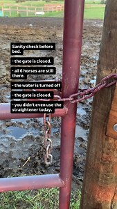 105 reactions · 8 comments | Equine Connection - The Academy of Equine Assisted Learning Inc on Reels | Facebook