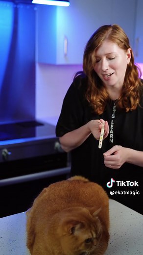 Color Switch Popsicle Magic Tricks