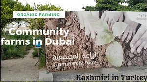 208K views · 5.6K reactions | #organicfarming #expo2021 Community...