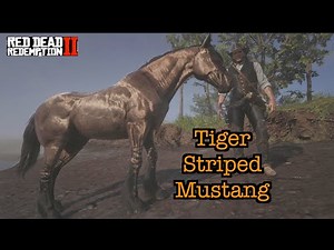 Still working 'The Angelo Bronte Glitch. Get the TIGER STRIPED MUSTANG with Arthur - RDR2
