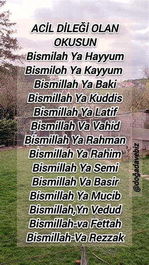ACİL DILEĞI OLAN OKUSUN🤲🏻#duamesajları #zikir #esmaulhusna #amin #dilekduası #keşfet #keşfetedüş #yt