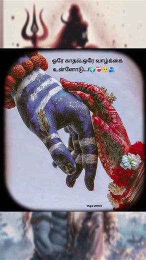 shivan parvathi🥹🌍❤️ whatsapp status in tamil