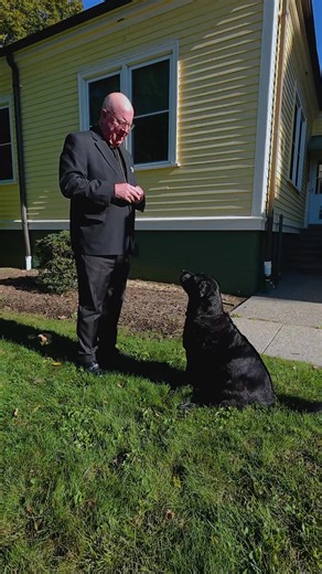 22K views · 862 reactions | Happy Feast Day of St. Francis of Assisi! | Roman Catholic Diocese of Springfield in Massachusetts | Facebook