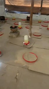 3.8K views · 53 reactions | Expecting chicks.. Don’t stress over charcoal ✅ One block lasts up to 6 hours ✅ No smoke, no mess ✅ Perfect for pre-heating your brooder 4 hours before chicks arrive ✅ Saves time, energy & money  Only K15 per block  Reliable..clean heat for your poultry success.  Call or WhatsApp 0973 856 828 to order now  Delivery options available | GREEN FIRE | Facebook