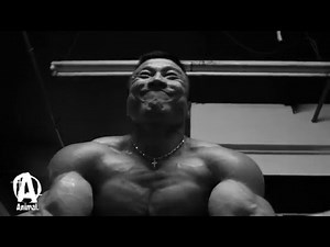 ANIMAL STAK "Get Jacked"