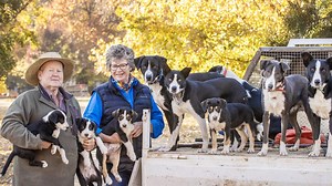 Trials for tribute to late couple