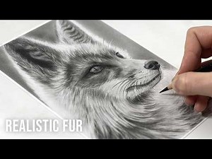 The Layering Method for Realistic Fur - Drawing a Fox Step by Step