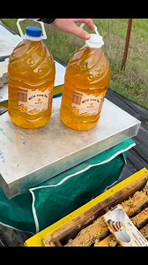 M&SH Honey Bees Invert 😍 ✅ Rrit Imunitetin, ✅ Stimulon kolonine, ✅ Ndihmon kunder Neozemave, ✅ Ploteson te gjitha nevojat ushqimore Perberja: 🟡Multivitamina 🟠Aminoacide 🟤Timol 💶 Cmimet: Bidoni 6 L Vitamins - 7.5 kg - 900 Leke Bidoni 6 L Kas81 - 7.5 kg - 1000 Leke ✌️ Cmime Oferte per shumice ✌️ 🚚 Posta 🇦🇱 300 Leke Porosisni ne inbox, whatsapp & cel: ☎️ 355696371277 | Materiale Bletarie