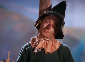 163K views · 17K reactions | Judy Garland & Ray Bolger (and Terry, of course) in 1939’s “The Wizard of Oz”. Did you know that Ray Bolger, seen here as Scarecrow, was originally cast as the Tin Woodman? Buddy Ebsen had been cast as Scarecrow, but Ray Bolger eventually won his fight with the studio and got the role. Ebsen would take on the role of the Tin Man, which also, never materialized. | The Oz Archive | Facebook