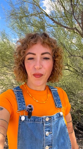 After 8 years of working with sustainably foraged desert plants and thriving in the Sonoran Desert, I wrote a book called Seasons of the Desert that was just released. This beautiful and helpful guide features: • Over 75 desert plants, divided into the seasons in which they bloom & fruit. • Details on how to identify plants and what kind of unique characteristics to keep an eye out for. •Tips on sustainable foraging and suggestions for how to use the flora you find to create herbal remedies and