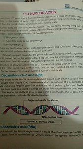 13 Biochemistry13.4 NUCLEIC ACIDSMore than 100 years ago, a ... | Filo