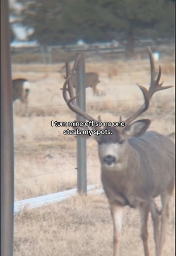 No one finding em #spot #honeyhole #hunting #buck