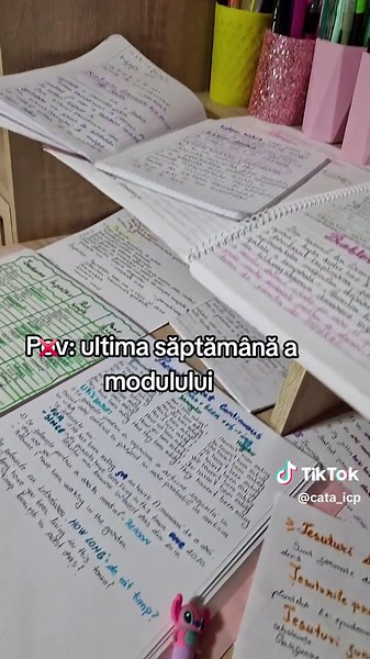 Ultima săptămână a modulului: prietenie și distracție