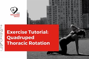 How to Perform a Quadruped Thoracic Rotation