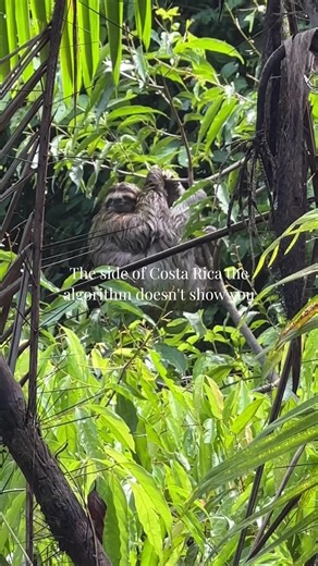 Community. Nature. Gratitude. Connection. The real treasures aren’t hidden or exclusive; they’re found in the moments you slow down enough to notice. Come experience it for yourself at katiescozygetaways.com ✨ #explorecostarica #fyp #nature #travel