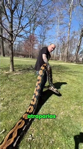 Capturar Python es peligroso 😨