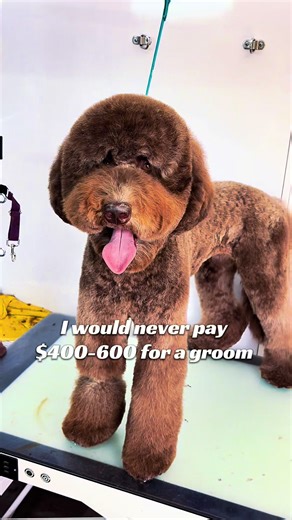 Changing for the better. Growing through experience. Grooming with love 🐶💛 #mobilegrooming