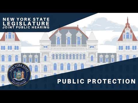 Joint Legislative Hearing on 2026 Exec. Budget Proposal: Public Protection - 02/12/2026