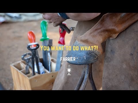 How to become a Farrier