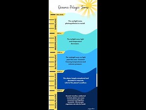 The 5 Ocean Zones Explained: Educational Deep Sea Video (Epipelagic to Hadal)