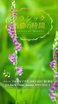 1分クラシック♪バッハ フルートソナタ #クラシック #名曲 #朝