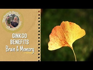 Ginkgo biloba Explained: Brain, Memory, Circulation, Tinnitus & Dosage