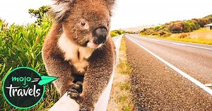 Top 10 Road Trips in Australia | Videos on WatchMojo.com