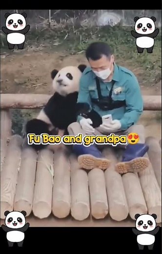 Fu Bao & Her Beloved Grandpa Zookeeper! 🐼❤️ Emotional Reunion & History #funnypetmoments